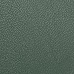 Green-Verdino