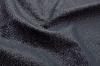 domus_navy