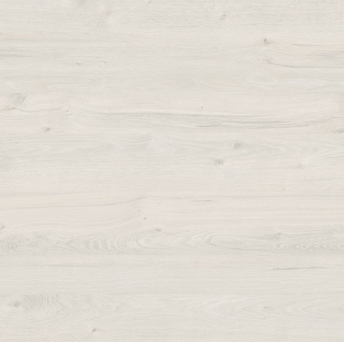 Дуб Наварра